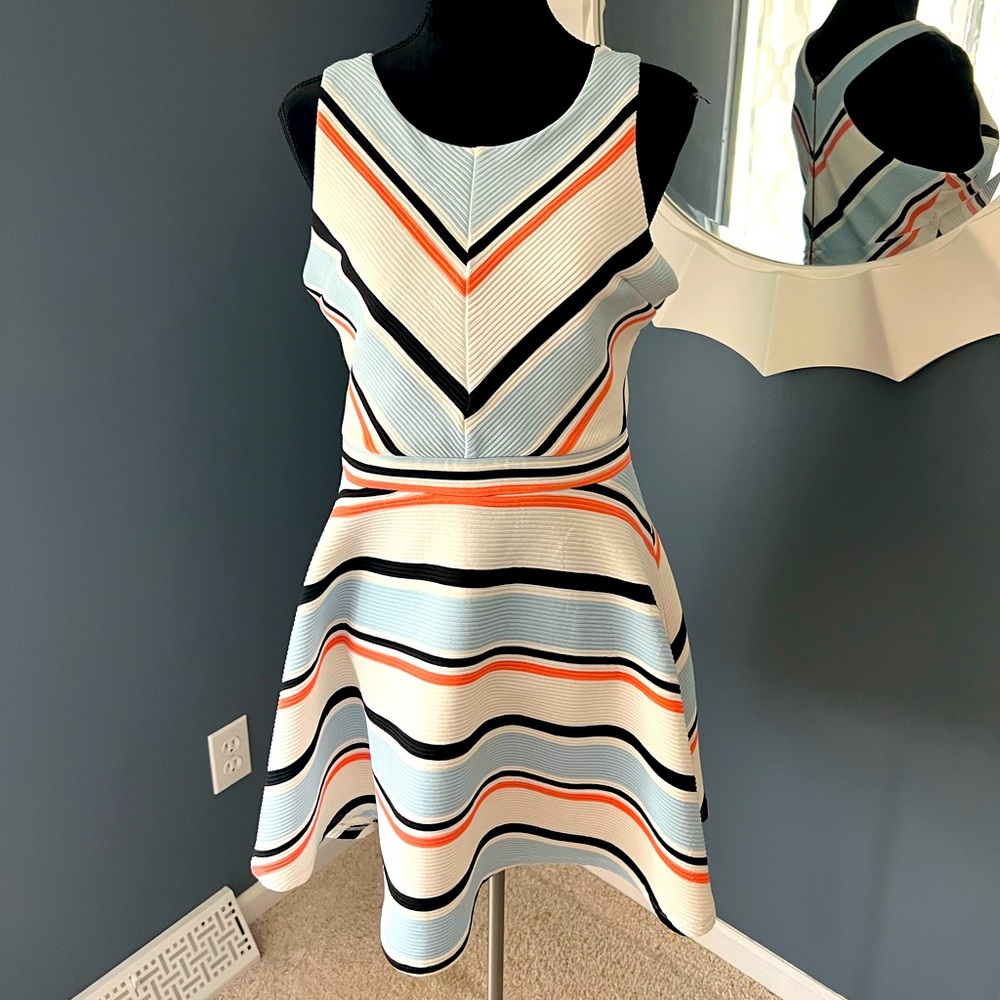 Striped Skater Dress